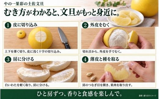 土佐文旦 訳あり 7kg 家庭用 サイズおまかせ M～4L 日本ギフト大賞受賞 文旦発祥の地 園主こだわり 規格外 不揃い 大玉 小玉 高知県土佐市産 高知県産 国産 7キロ ぶんたん みかん 柑橘類 高級フルーツ 果物 わけあり 産地直送 お取り寄せ 先行予約 やの一果彩[BQAC045]