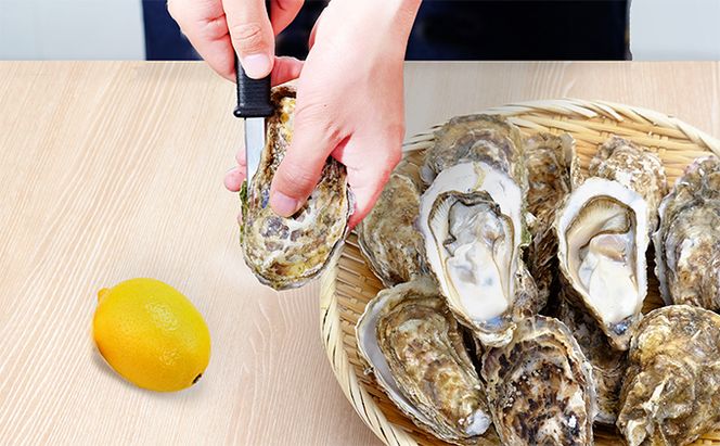 6ヶ月 定期便 厚岸産 殻付き 牡蠣 Ｌサイズ 20個入 (各回20個×6ヶ月分,合計120個) カキナイフ付き 加熱容器付き 魚貝類 生牡蠣 かき 殻付き牡蠣 マルえもん 6カ月 6回 半年 