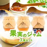 ジャム【ジャムセット】りんご リンゴ りんごジャム 紅玉 ふじ ブルーベリージャム フルーツジャム 完熟 アップル 果物 ペースト トッピング  トースト ヨーグルト 信州 長野