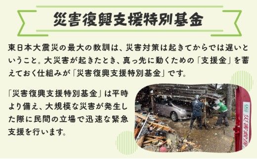 【ふるさと納税】【寄付額が選べる】日本財団災害復興支援特別基金への寄附【災害支援】（返礼品なし）【MRI-AiD】