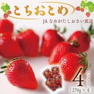 【2027年1月中旬より順次発送】JAなめがたしおさい直送「とちおとめ」1箱（4パック入）(AE-62)
