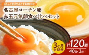 【3ヶ月定期便】【山ちゃん家の生みたて葉酸たまご】名古屋コーチン卵・赤玉元気卵 食べ比べセット（各20個 合計40個入り）［132Y11-T］3ヶ月定期便 山ちゃん家 生みたて 葉酸たまご 名古屋コーチン卵 赤玉元気卵 食べ比べ セット 各 20個 合計 40個 入り 地鶏 卵 朝食 卵焼き 目玉焼き オムライス ゆでたまご 山田養鶏 お取り寄せ 愛知県 小牧市 送料無料