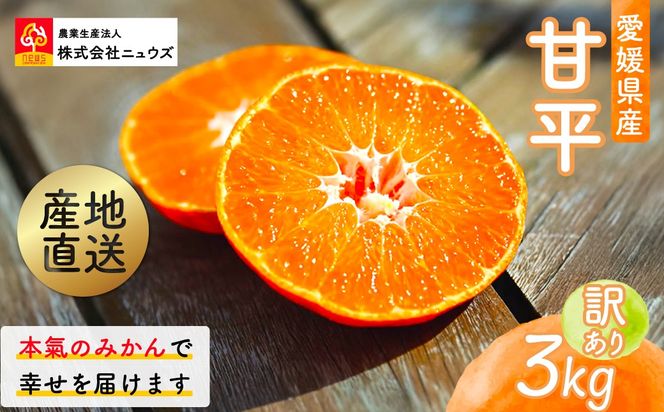 【先行予約】産地直送！愛媛県産甘平 3kg（訳あり）（2027年1月下旬より発送予定） IKTF020