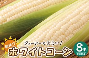099H4021 【先行予約】朝採り ホワイトコーン 8本セット【とうもろこし 農家直送 新鮮 野菜 やさい 期間限定】