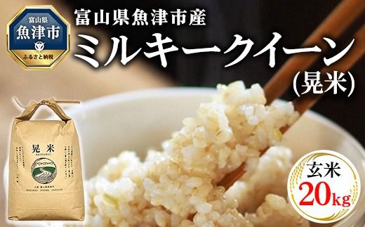 【令和6年度米】環境配慮「魚津のミルキークイーン（晃米）」20kg（玄米） ｜新米 MK農産 玄米 銘柄米 ブランド米 ご飯 おにぎり お弁当 和食 主食 国産 産地直送 甘み 香り もちもち ※2024年10月下旬頃より順次発送予定 ※北海道・沖縄・離島への配送不可