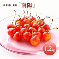 2027年発送 北海道 仁木町産 さくらんぼ 南陽 1.2kg (300g×4パック) Lサイズ以上 旬 桜桃 産地直送 サクランボ チェリー フルーツ 果物 果物類  仁木町 仁木 [松山商店]