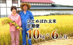 【6ヶ月定期便】減農薬栽培 ひとめぼれ 玄米 10kg（5kgx2袋） 【1112】