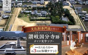 文化財専門員と行く！讃岐国分寺跡ガイド見学ツアー 372013_KY008
