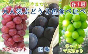 【2026年発送分】【数量限定】【フルーツ王国山梨】３色ぶどう食べ比べセット（巨峰・シャインマスカット・スカーレット 各１房・約２ｋｇ）　ぶどう 葡萄 ブドウ マスカット シャイン 赤ぶどう 黒ぶどう くだもの フルーツ 果物 食べ比べ お試し 山梨 やまなし 富士川町