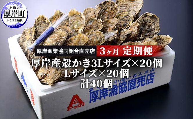 定期便 3ヶ月 北海道 厚岸産 牡蠣 3L 20個 と L 20個 ひと月あたり40個お届け (各回40個×3ヶ月分,合計120個) 殻付き 生食 かき カキ 生牡蠣 貝付き牡蠣 貝 海鮮 魚介類 マルえもん