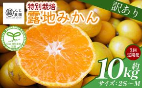 【3回定期便】ふじ農園の露地みかん 訳あり品 10kg(2S～M) 5kg×2箱 計10kg 国産 小玉 蜜柑 ミカン 柑橘 果物 フルーツ 訳アリ ご家庭用 自宅用 ふじ農園 高知県 香南市 Wfn-0024