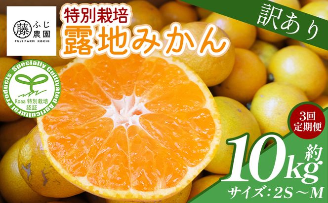【3回定期便】ふじ農園の露地みかん 訳あり品 10kg(2S～M) 5kg×2箱 計10kg 国産 小玉 蜜柑 ミカン 柑橘 果物 フルーツ 訳アリ ご家庭用 自宅用 ふじ農園 高知県 香南市 Wfn-0024
