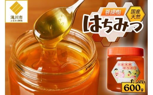 【北海道滝川産】高見養蜂場の純粋はちみつ(菩提樹、シナの木600g×1本)｜国産 日本製 天然 無添加 純粋 非加熱 生はちみつ ミツバチ ハニー 栄養 健康 美容 ビタミン ミネラル 抗生物質 プロポリス アミノ酸 濃厚 ギフト 贈答