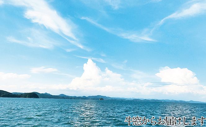 湯通し塩蔵 瀬戸内 わかめ 500g×3袋【岡山 瀬戸内海 天然 塩蔵】 無添加 無着色 健康 味噌汁 炊き込み サラダ 