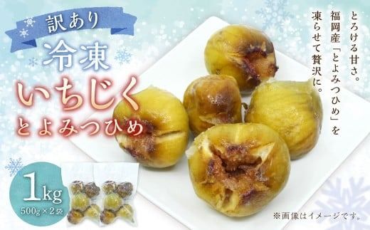訳あり 冷凍 いちじく 「とよみつひめ」 1kg 冷凍 いちじく イチジク フルーツ 果物 くだもの シャーベット コンポート パンケーキ 加工 真空パック