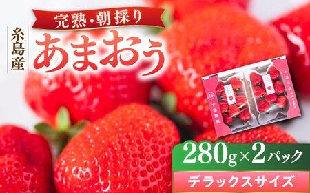 糸島産 完熟あまおう 280g×2パック (デラックスサイズ) 糸島市 / 小河農園 いちご フルーツ 果物 