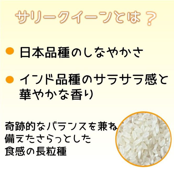 お米 サリークイーン 精米《 お米 精米 5キロ 安心 安全 バスマティ 日本晴 米 おこめ 国産 送料無料 ピラフ パエリア 》【2401B08406】