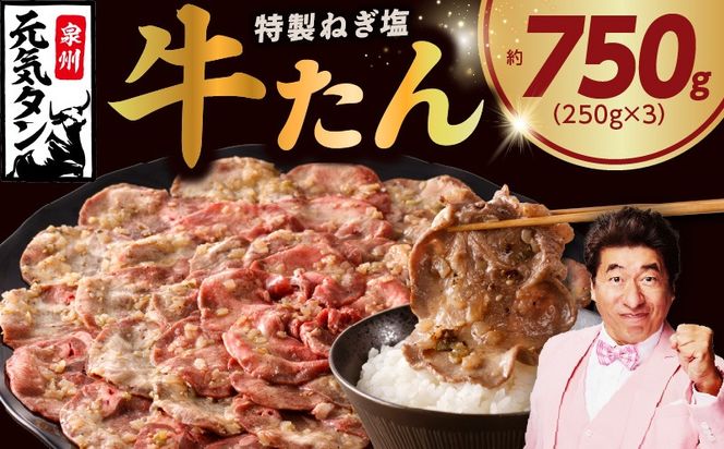 099Z459 【定期便】ねぎ塩 牛たん 750g 全3回 【毎月配送コース 牛タン 牛肉 焼肉用 薄切り 訳あり サイズ不揃い】