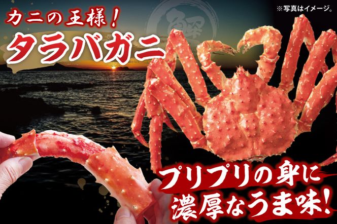 ボイルたらばがに 半剥き身 総重量1.9ｋｇ（内容量1.7ｋｇ） タラバガニ タラバ蟹 たらば かに ボイル むき身 ハーフポーション カット済 かに鍋 蟹鍋 かにしゃぶ 蟹しゃぶ