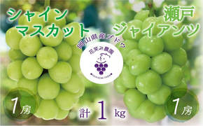【2026年先行予約】 ぶどう 岡山 花笑み農園の『シャインマスカット&瀬戸ジャイアンツ』1kg (2房) / ぶどう ブドウ 葡萄 シャインマスカット 瀬戸ジャイアンツ 先行予約 フルーツ 果物 真庭市 【hana046-02】