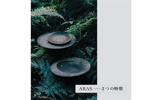 【高島屋選定品】〈選べる金額〉 ARASのお買いものカード3,000円分 ARAS エイラス 割れない うつわ 贈り物 ギフト カタログギフト 1万円 10000円 aras ふるさと納税 F6P-3349