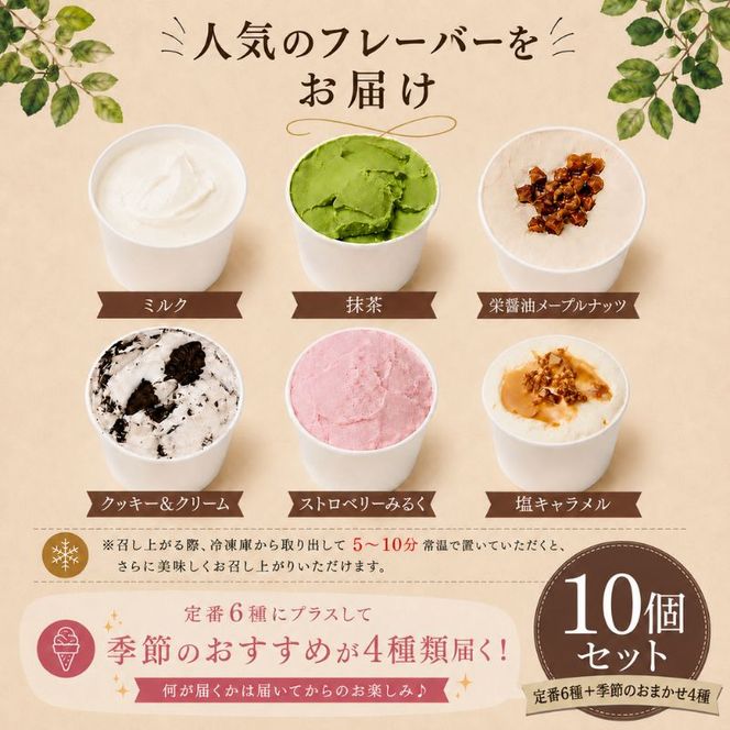 Migelaの人気ジェラート 10個 食べ比べ セット 定番6種＋季節のおまかせ4種 ジェラート アイス デザート Migela 静岡 袋井市