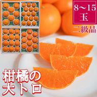 ちょっと 傷あり 柑橘の大トロ ハウス せとか 8 ～ 15玉入 化粧箱 南泰園 BS134 