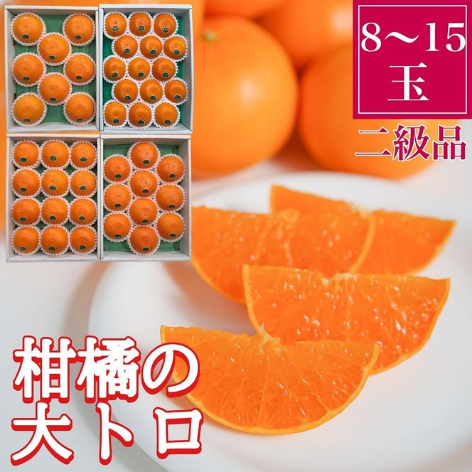 ちょっと 傷あり 柑橘の大トロ ハウス せとか 8 ～ 15玉入 化粧箱 南泰園 BS134 