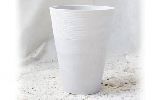 沖縄の観葉植物 人気のフィカス フランスゴム7号 シュエット鉢