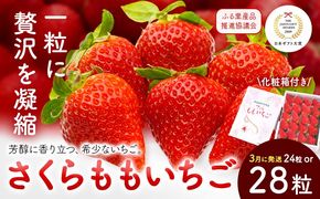 【CF】いちご 佐那河内村限定 さくらももいちご  24粒 28粒 化粧箱 JA徳島市佐那河内支所 ふる里産品推進協議会《3月発送》徳島県 佐那河内村【配送不可地域あり】※離島 | ブランドいちご 産地直送 ギフト大賞 ジューシー---sanagouchi_hss_8_1k---
