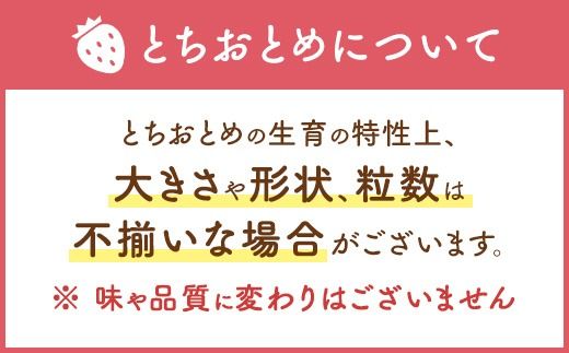 【先行予約】いちご とちおとめ つる付き 2パック箱 ※2026年11月～発送