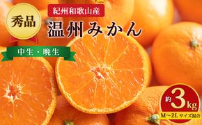 【先行予約】【秀品】紀州和歌山産 温州みかん 約3kg（箱込み） M～2L サイズ混合（中生・晩生）