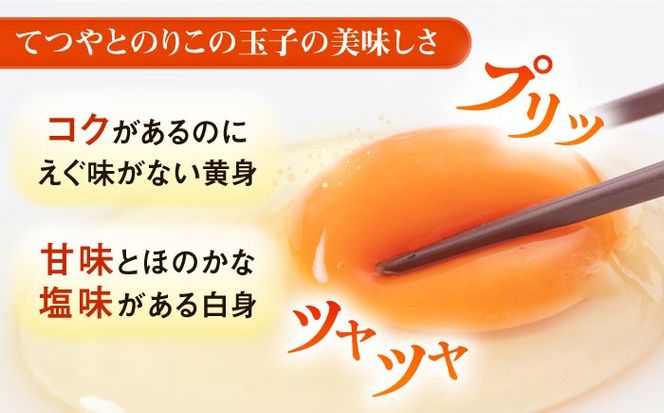 【全6回定期便】てつやとのりこの玉子 【 20個 】 糸島市 / 板垣ファーム 卵 たまご 鶏卵[AWD017]