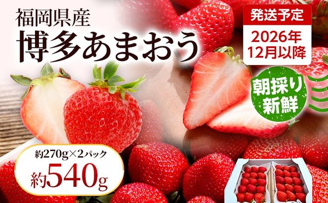 【先行受付】農家直送 朝採り新鮮いちご【博多あまおう】＜12月より順次発送＞ 約270g×2パック 福岡県産 苺 イチゴ 朝採れ 冷蔵 スイーツ ジュース ギフト プレゼント お土産 九州 福岡土産 ※北海道・沖縄・離島は配送不可