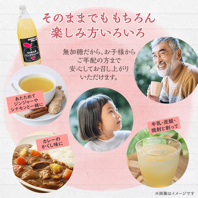 山ノ内町産サンふじ使用！りんごジュース 1000cc×6本セット 果汁飲料 アップルジュース フルーツジュース ソフトドリンク 山ノ内町産りんご サンふじ100％ 