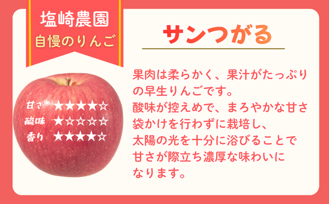 【先行予約丨2026年9月上旬より順次発送】サンつがる【約2.5kg(6〜12玉)】(At-003)丨長野県 飯山市 おすすめ ランキング おいしい 高評価 大人気 先取り 産地直送 りんご