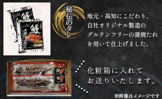 養殖うなぎ蒲焼き 2尾（合計約400g）台湾産鰻 - 鰻 ウナギ かばやき 土用の丑の日 スタミナ 夕飯 有頭 約200g おつまみ うな丼 うな重 丼ぶり 送料無料 fb-0016