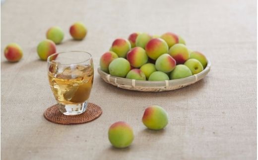 チョーヤ ウメッシュ 本格梅酒ソーダ缶 250ml×24本【igge0016】