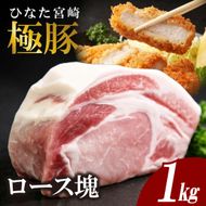 ひなた宮崎極豚ロース塊 500g×2P（豚肉 豚 ロース ブロック とんかつ トンテキ 生姜焼き）