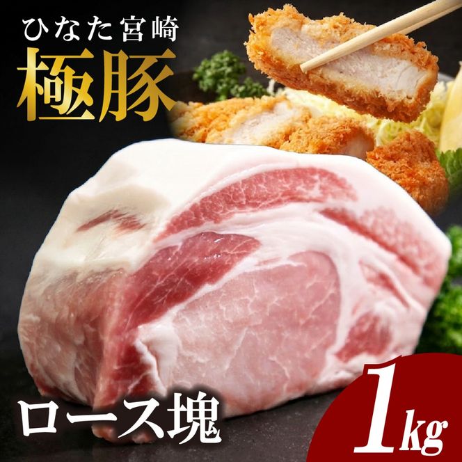 ひなた宮崎極豚ロース塊 500g×2P（豚肉 豚 ロース ブロック とんかつ トンテキ 生姜焼き）