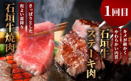 【全2回 定期便E】 石垣牛 ステーキ＆焼肉特盛セット・すきしゃぶ800g＆焼肉特盛セット　計3.2kg（いしなぎ屋）【 特選肉 肉 高級 黒毛和牛 和牛 牛 】AB-33