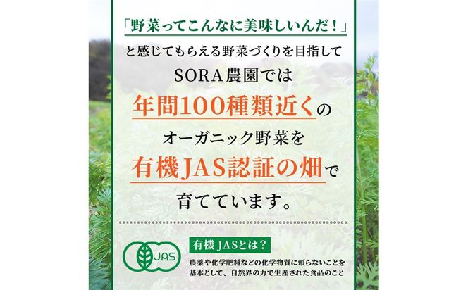 【先行予約11月下旬～順次発送】SORA農園の有機にんじん5kg　有機野菜 有機農園 オーガニックファーム オーガニック野菜 有機栽培 人参 にんじん ニンジン キャロット 冬野菜　SN00006