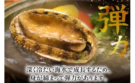 アワビ 鮑 天然 蝦夷あわび パック 約1kg [たみこの海パック 宮城県 南三陸町 m304amh560080] 冷凍 セット 高級 豪華 海鮮