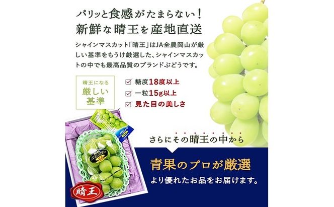 ぶどう 2026年 先行予約 シャイン マスカット 晴王 1房 950g前後 ブドウ 葡萄  岡山県産 国産 フルーツ 果物 ギフト 岡山のブドウ デザート 食べ物 日本産 