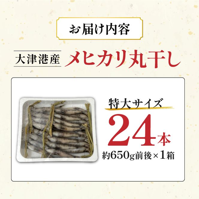 丸干し特大めひかり　24本（約650ｇ前後 ）【めひかり メヒカリ 特大 魚 海産物 茨城県 北茨城市 冷凍】（DM003）