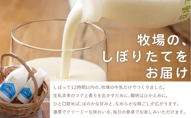 【定期6ヶ月】のむヨーグルト 500g ×6 SKB049