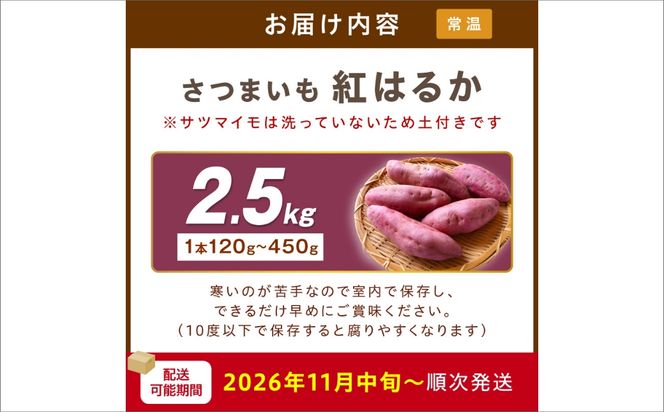 【先行予約】さつまいもオブザイヤー紅はるか部門全国1位 京都・ 丹後産　さつまいも 紅はるか　土付き（1本120〜450g程度）2.5kg　TF00067