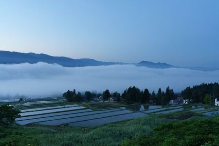 令和６年産 【栽培期間中 農薬・化学肥料不使用】ササシグレ(玄米)5kg真空包装(6-52A)