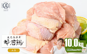 鹿児島県産若鶏ムネ肉 計10kg(2kg×5P) b3-029