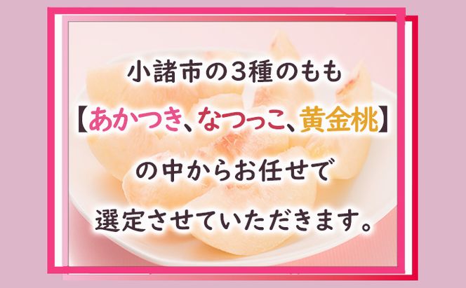 桃 約2kg 3種お任せ あかつき なつっこ 黄金桃 果物 もも 3種類 白桃 黄桃 産地直送 長野県 小諸市